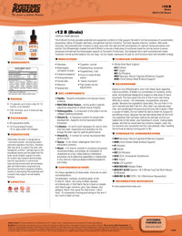B – Brain by Systemic Formulas
