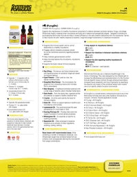 T4 FungDX Tincture by Systemic Formulas