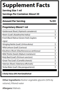 MC-REA by Beyond Balance