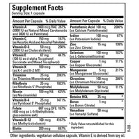 The BIG ONE® Plus without Iron 100 caps by Metabolic Maintenance